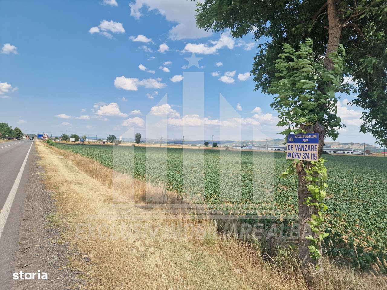 Teren agricol la sosea, pretabil si ptr constructii industriale - Imagine principală: 1/9