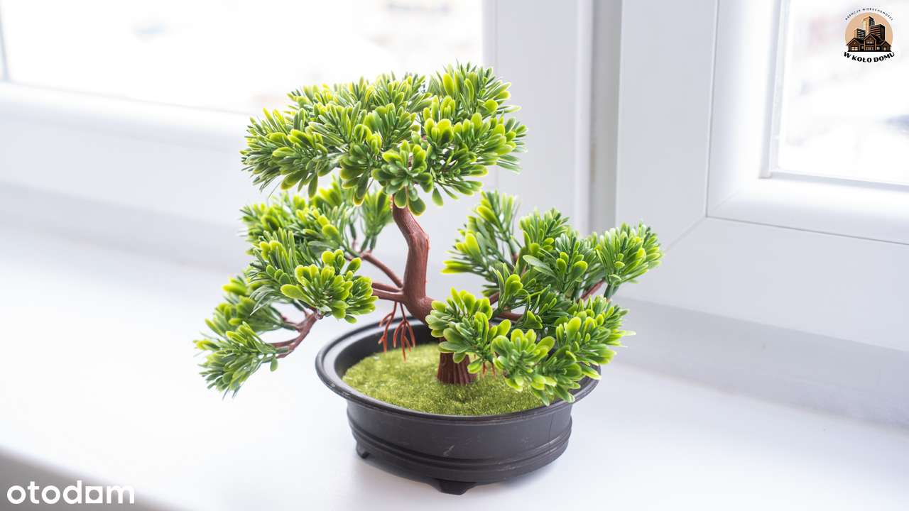 Przytulne mieszkanie, w pełni wyposażone,  gotowe do zamieszkania!-9