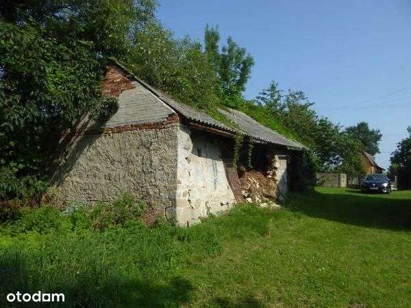 Działka, 82 900 m², Zbożenna - Pełny obrazek: 5/15