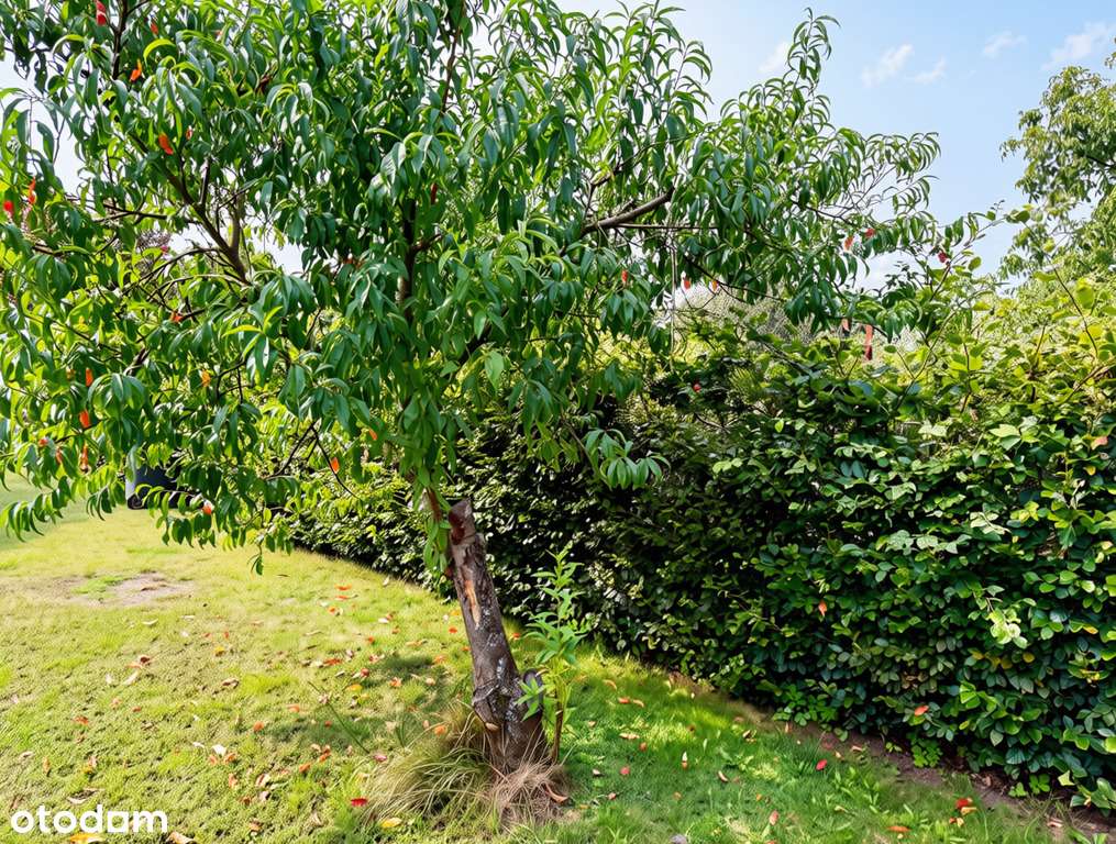 Mieszkanie 38,9 m² | Zbąszynek | 2 pokoje-7