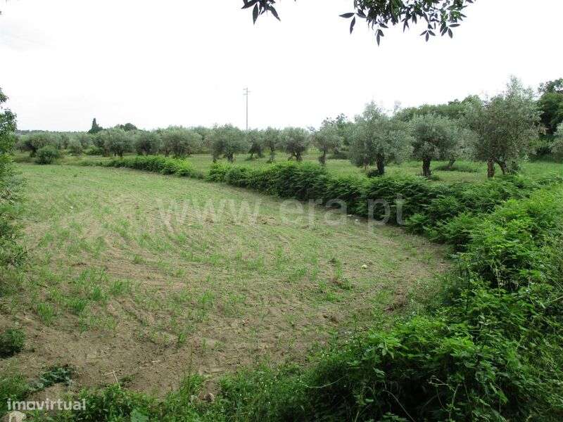 Quinta Estúdio / Fundão, Póvoa da Atalaia - Grande imagem: 1/12