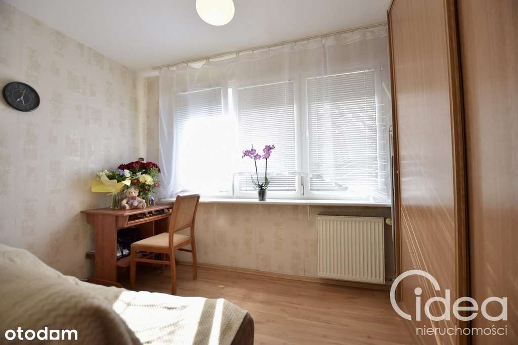 2 pokoje, wśród zieleni na Pomorzanach-1