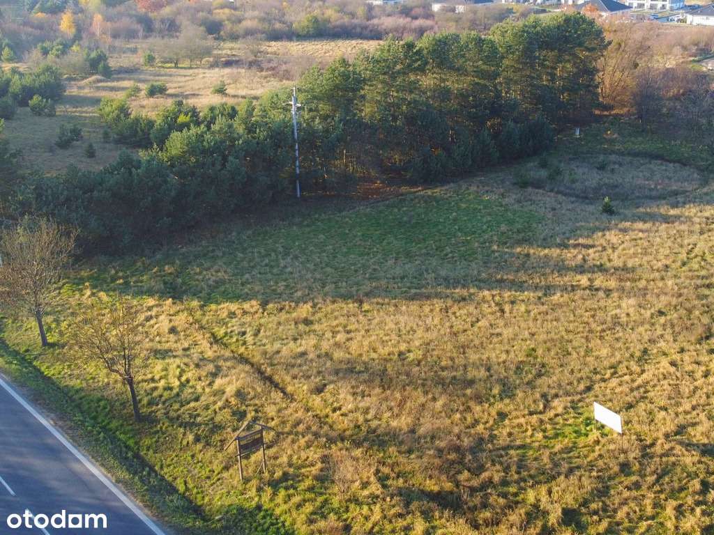 Działka budowlana MPZP | Sierosław | 1584 m2 - Pełny obrazek: 2/7