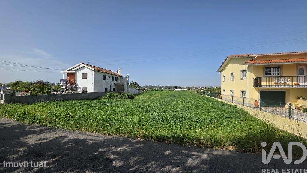 Terreno em Avanca - Grande imagem: 2/4