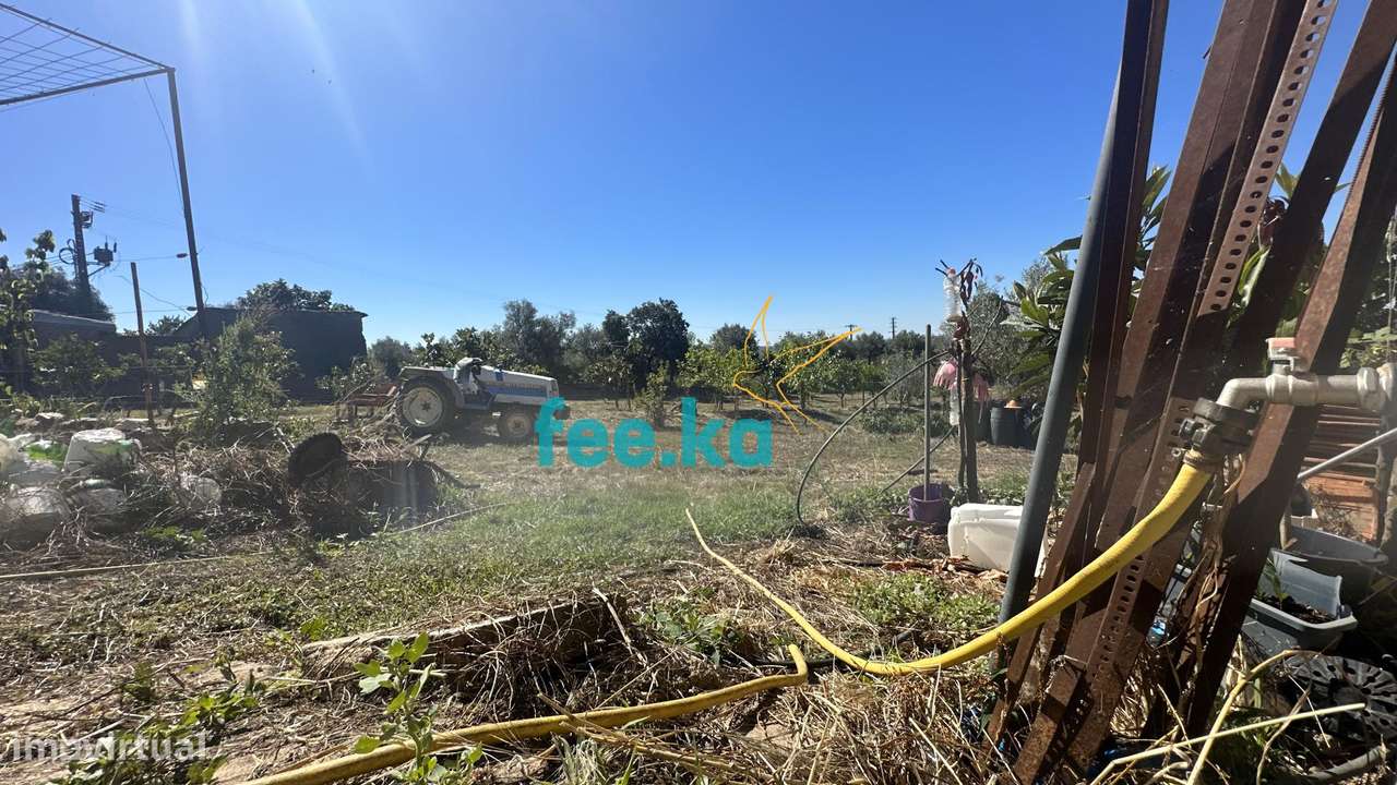 Quintinha em Monfortinho-34