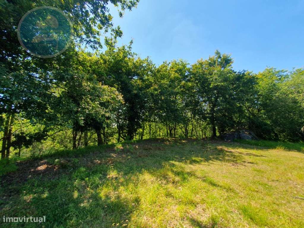 Quinta à venda para restauro em Arroteia freguesia de Rossas-48