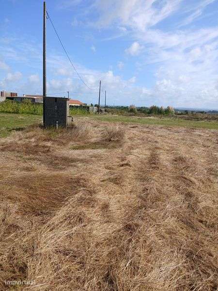 Terreno rústico com vista para a ria. - Grande imagem: 5/5