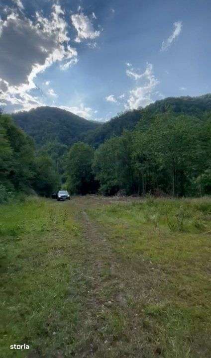 Teren pentru constructie in Valea Ierii cu front la dum asfaltat si ut - Imagine principală: 1/4