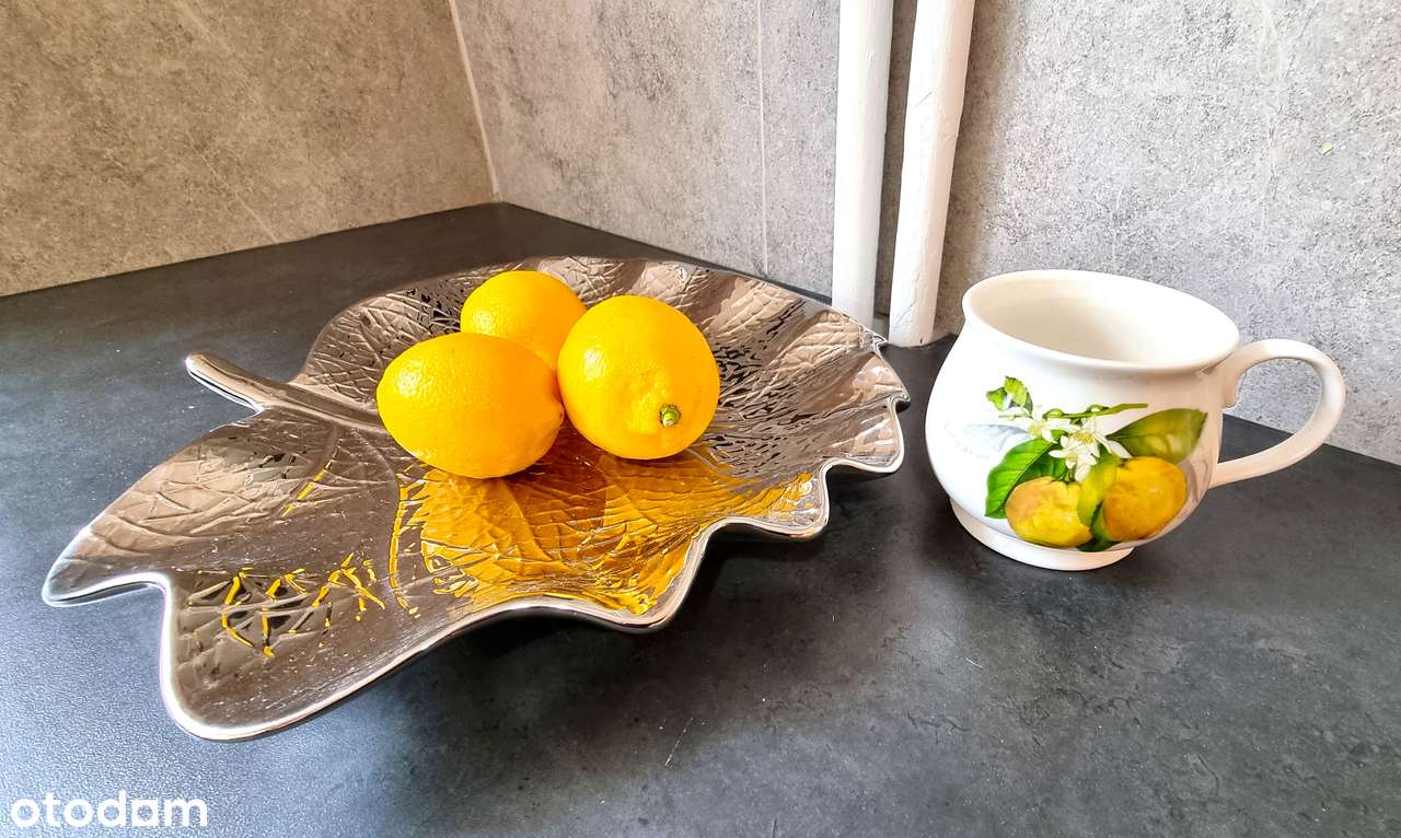 Ładne 2 – pok. m. po remoncie w świetnej lokalizacji na Ogrodach!-6