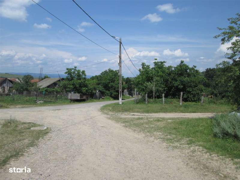 Teren agricol de 12 579 mp si contructii 5 161 mp-0