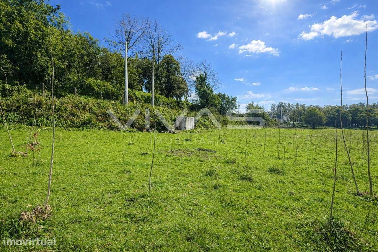 Terreno Rústico  Venda em Marrancos e Arcozelo,Vila Verde - Grande imagem: 4/9