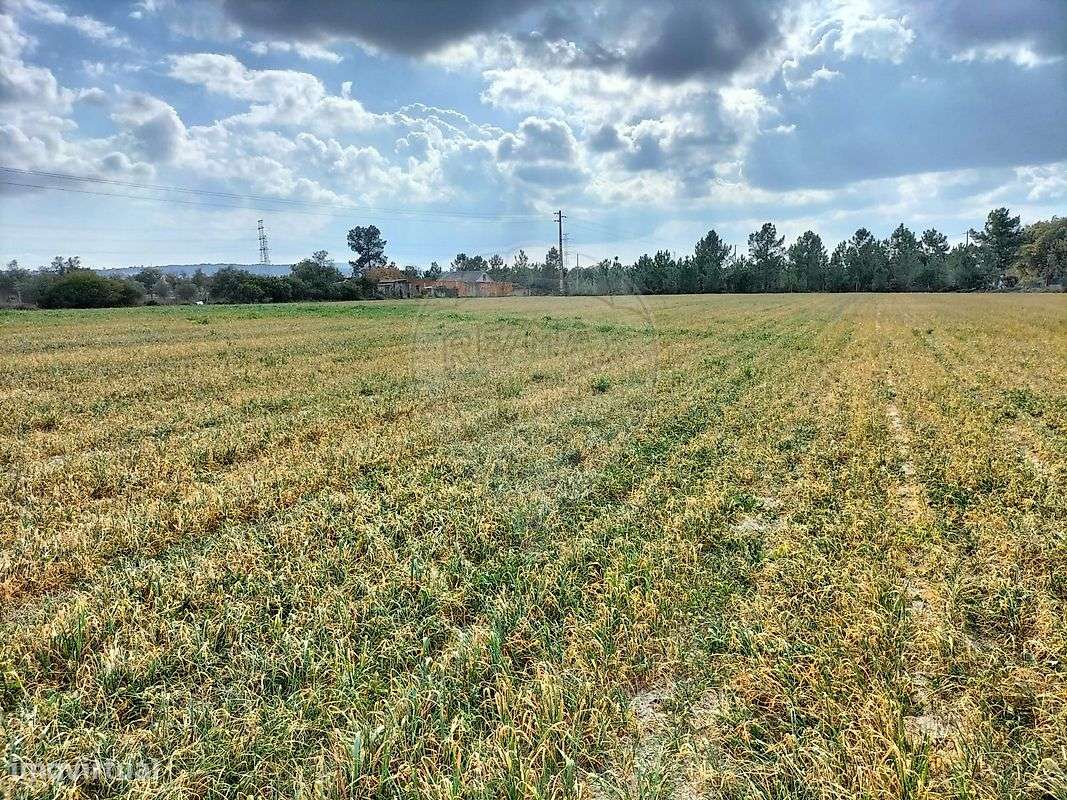 Terreno  para venda - Grande imagem: 2/28