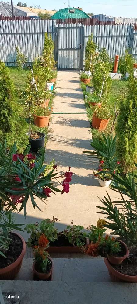 Vila P + M  simnicul de sus - floresti la gri - Imagine principală: 4/8