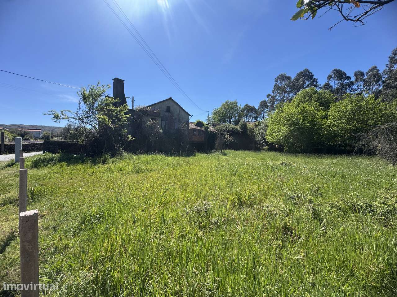 Quintinha – Oliveira de Frades-6