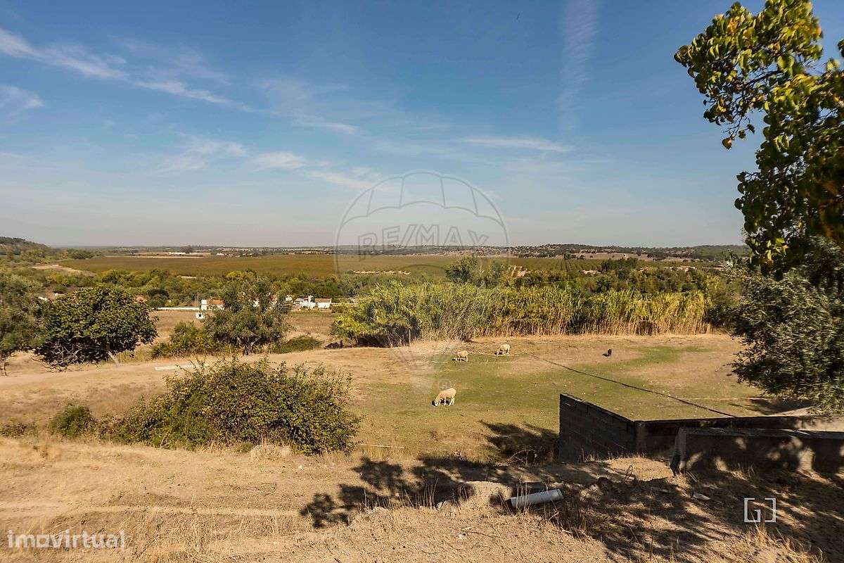 Quinta T4 para venda-32