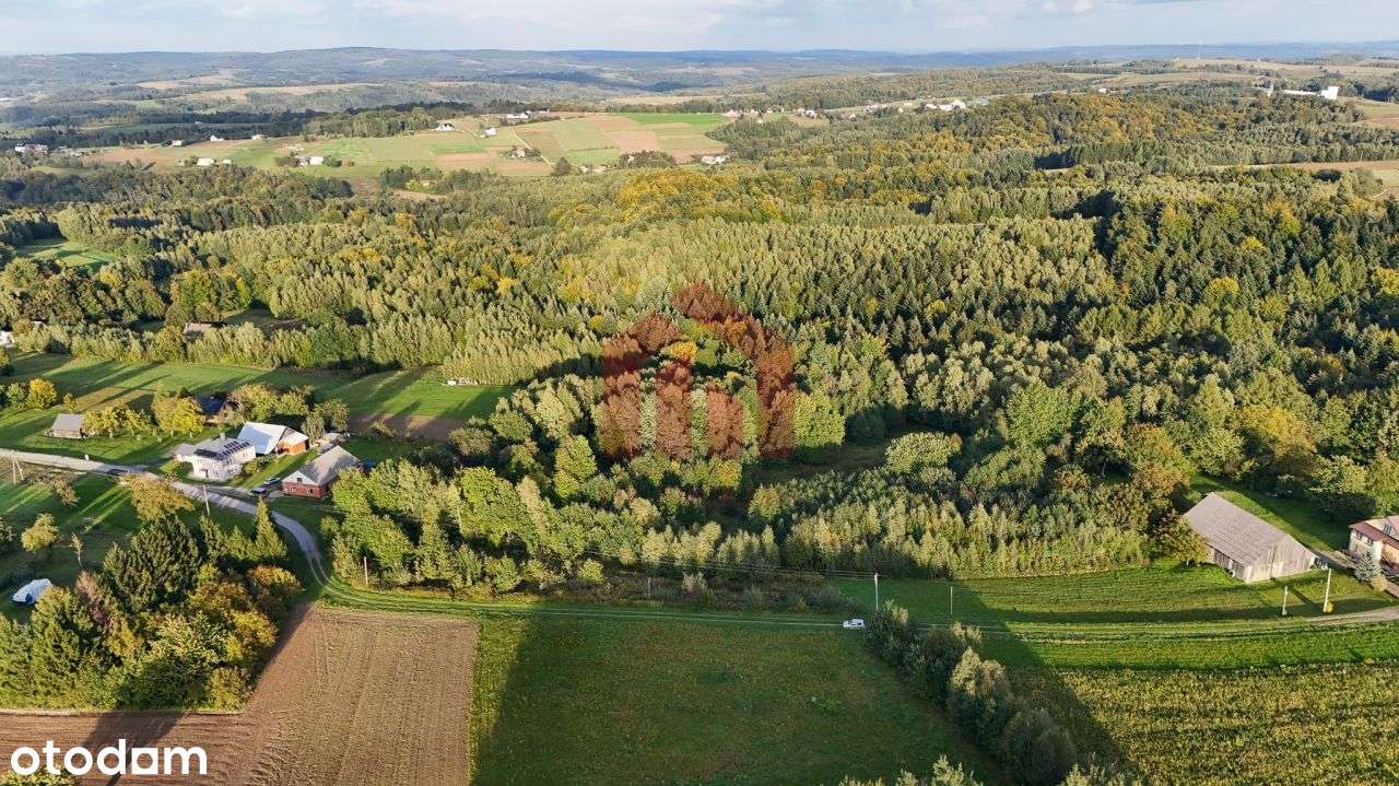 1,47 ha, Wz! dom w lesie? biznes? Jedyna taka!-6