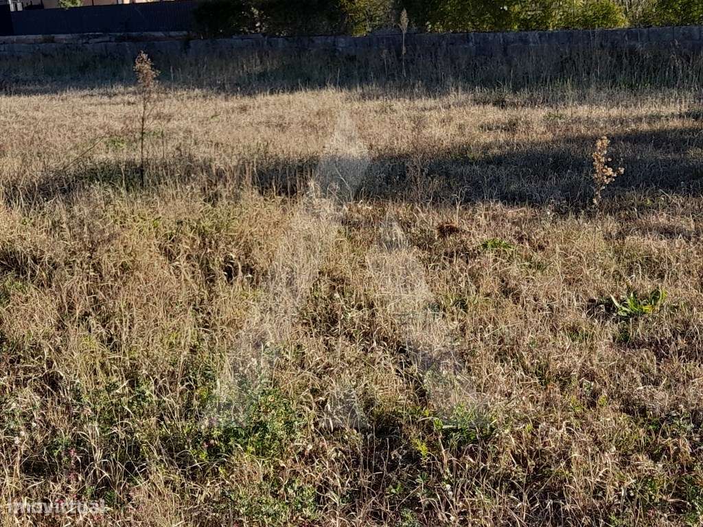 Terreno com viabilidade de construção, sito em Calvão, Vagos - Grande imagem: 4/9