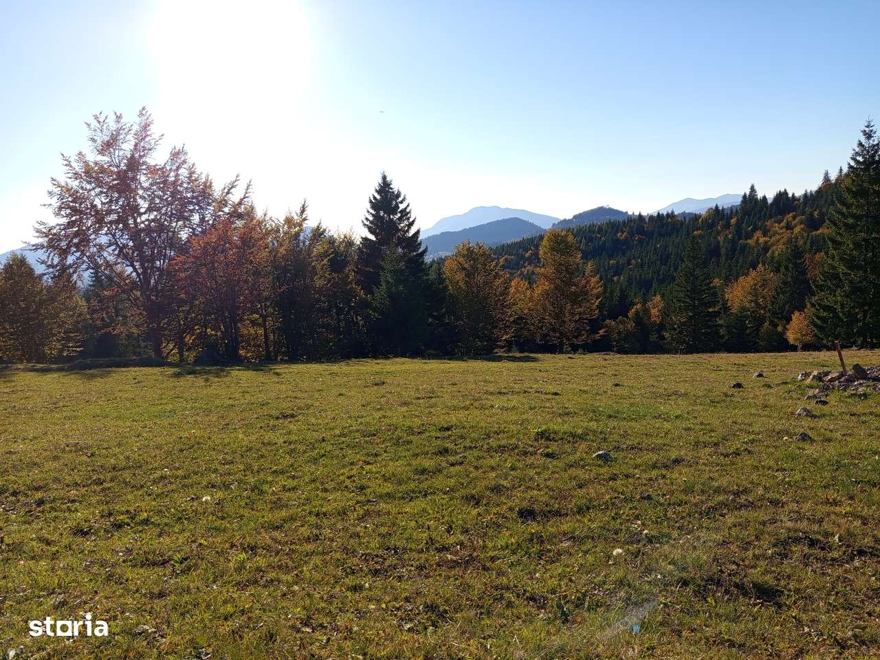 TEREN DE VÂNZARE – 2 parcele de 7 Ari – Pasul Tihuța la cota 1200 - Imagine principală: 2/9