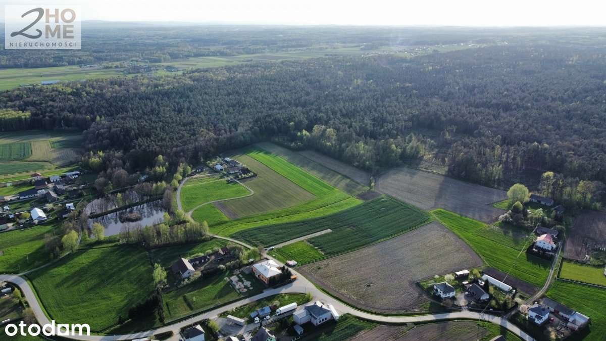 15 ar w Podlesiu k/ Nowej Jastrząbki gm. Czarna - Pełny obrazek: 4/14