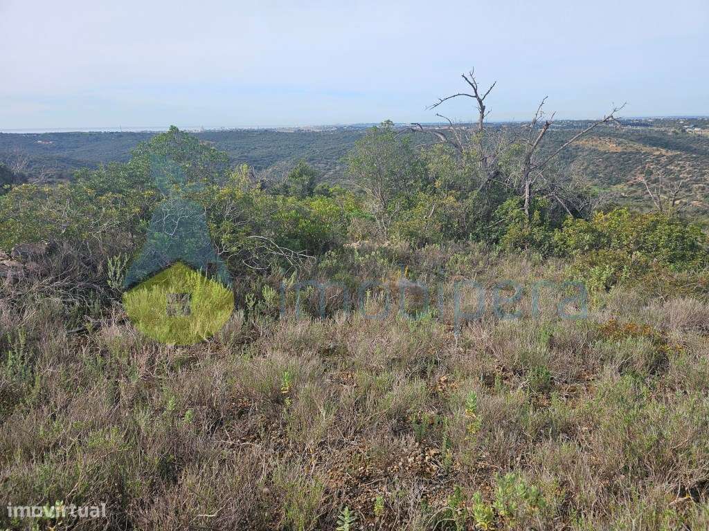 Terreno Rústico, com ruina não registada, em local muito calmo, bom... - Grande imagem: 3/34