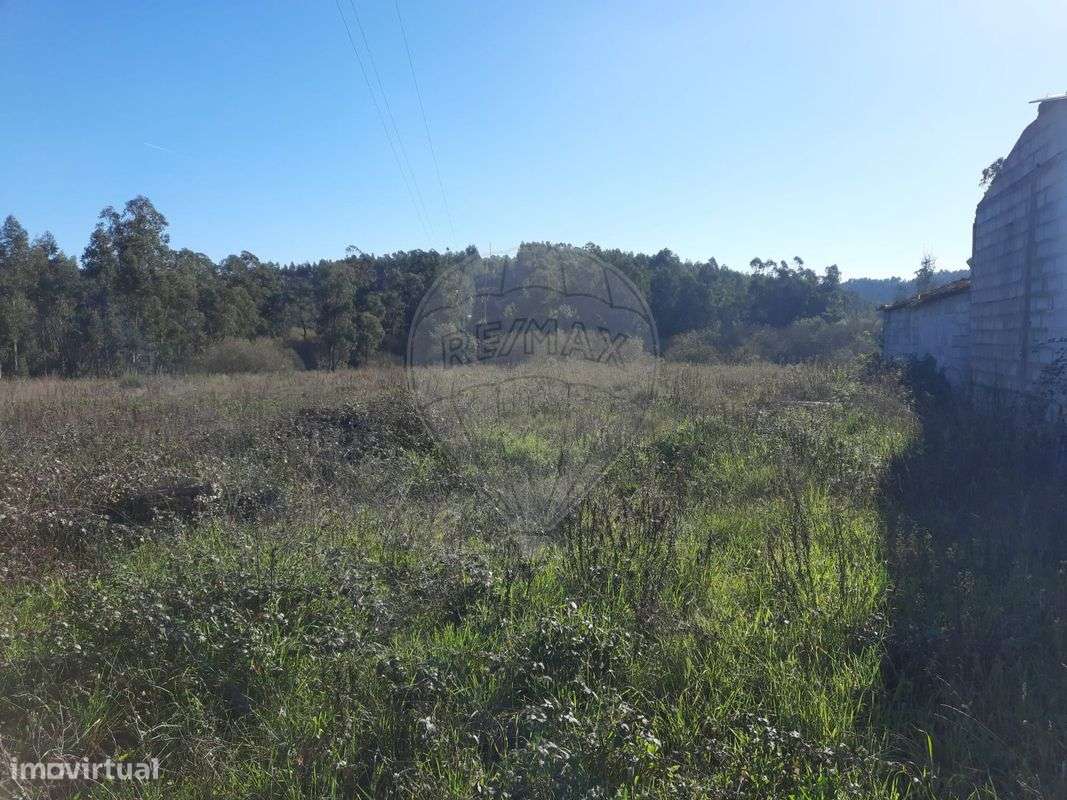 Terreno  para venda - Grande imagem: 3/5