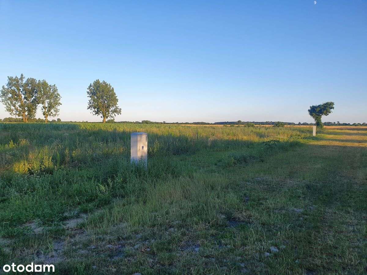 Goniczki k/Wrześni działka budowlana-6