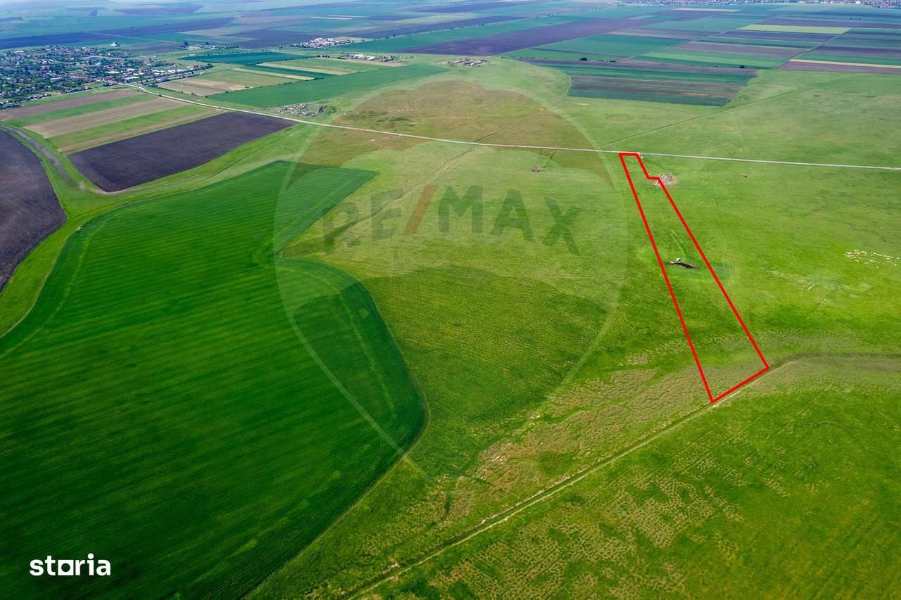 Teren agricol 5 ha, extravilan, 52 m deschidere la șosea - Imagine principală: 5/20