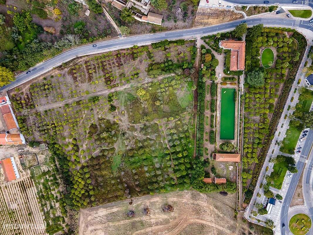 Palacete T10 para venda - Grande imagem: 4/26