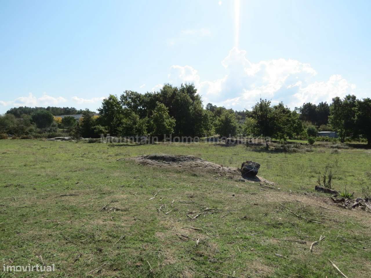 Quinta  Venda em Paranhos,Seia - Grande imagem: 4/8