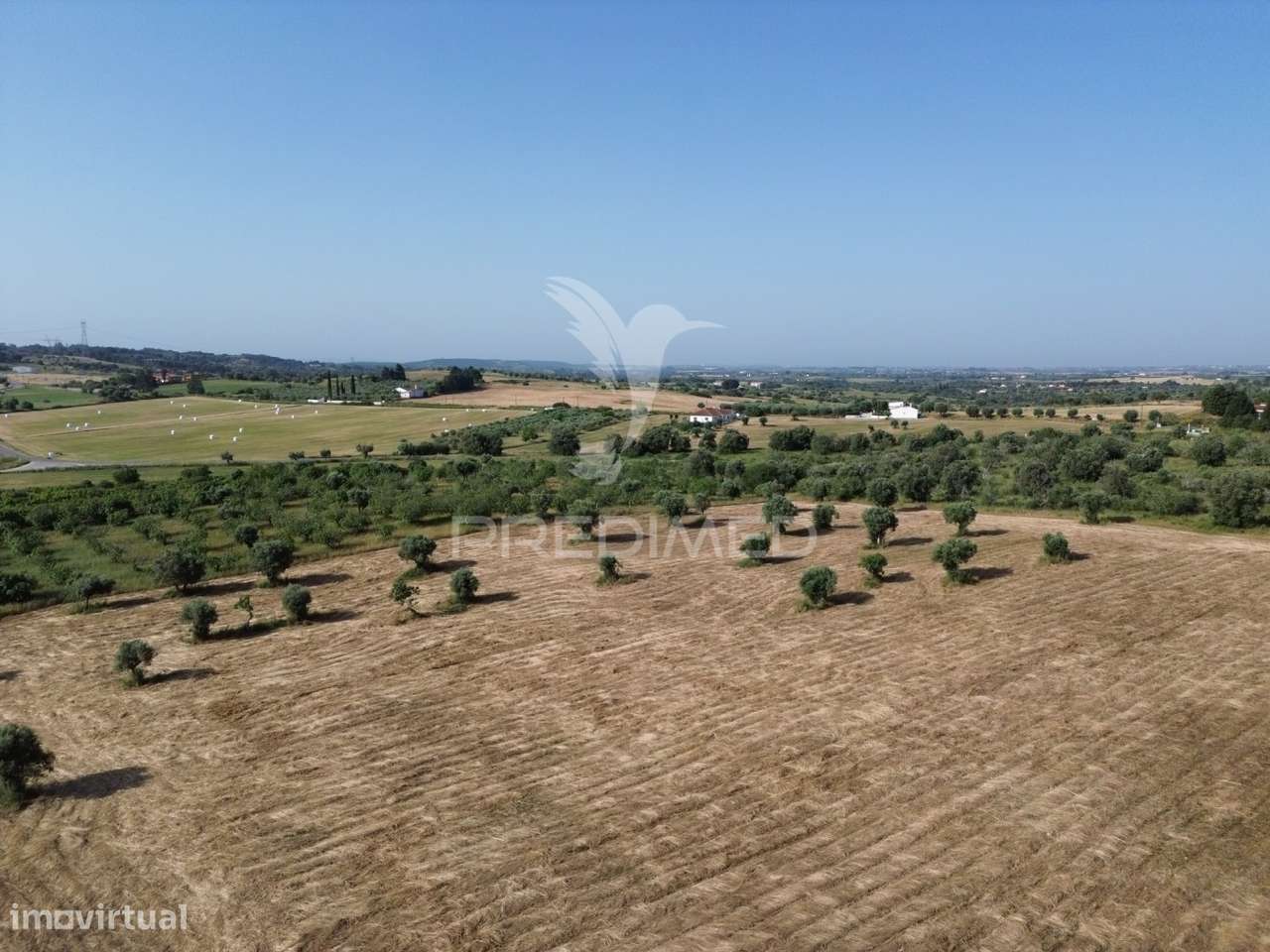 Terreno Rústico com Ruína - Alcorochel, Torres Novas - Grande imagem: 5/30