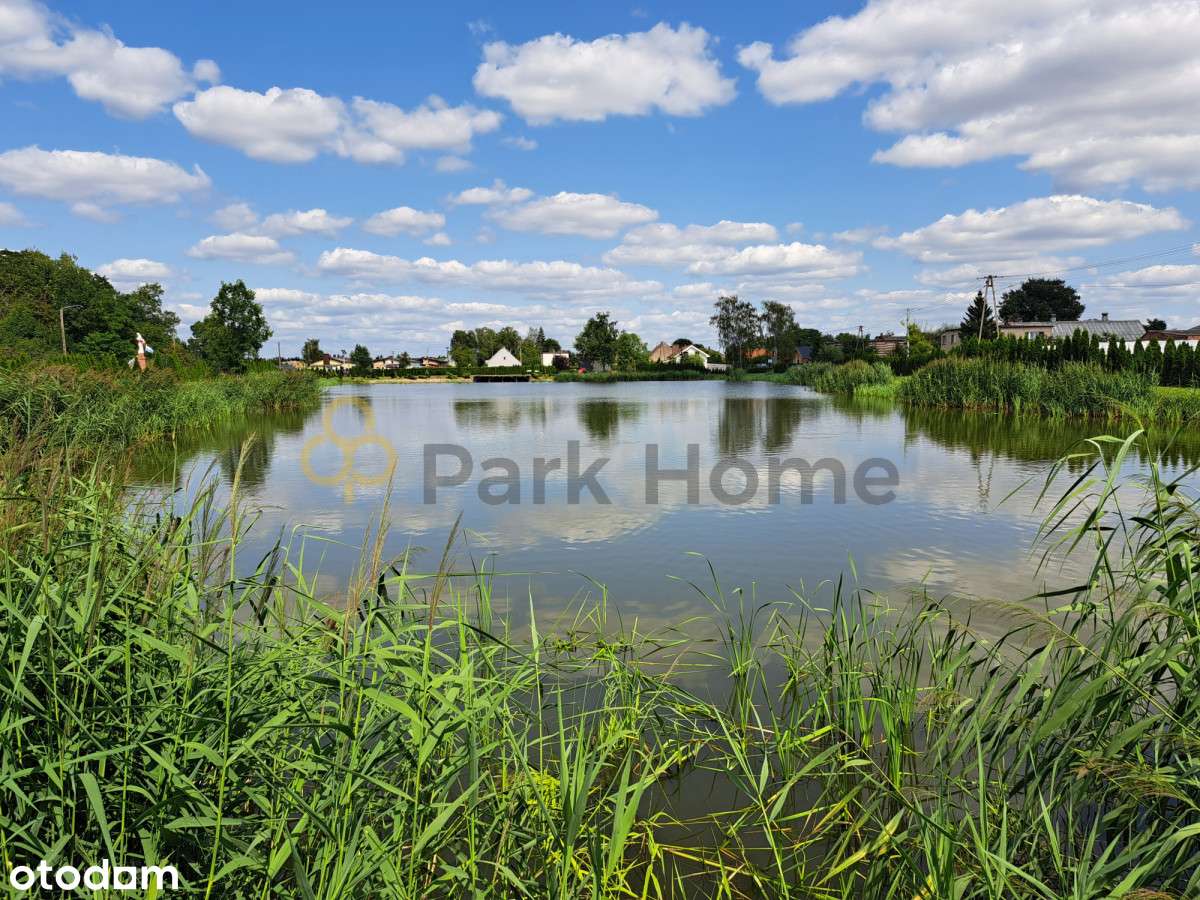 Sprzedam Staw (zarybiony) - Pełny obrazek: 4/6