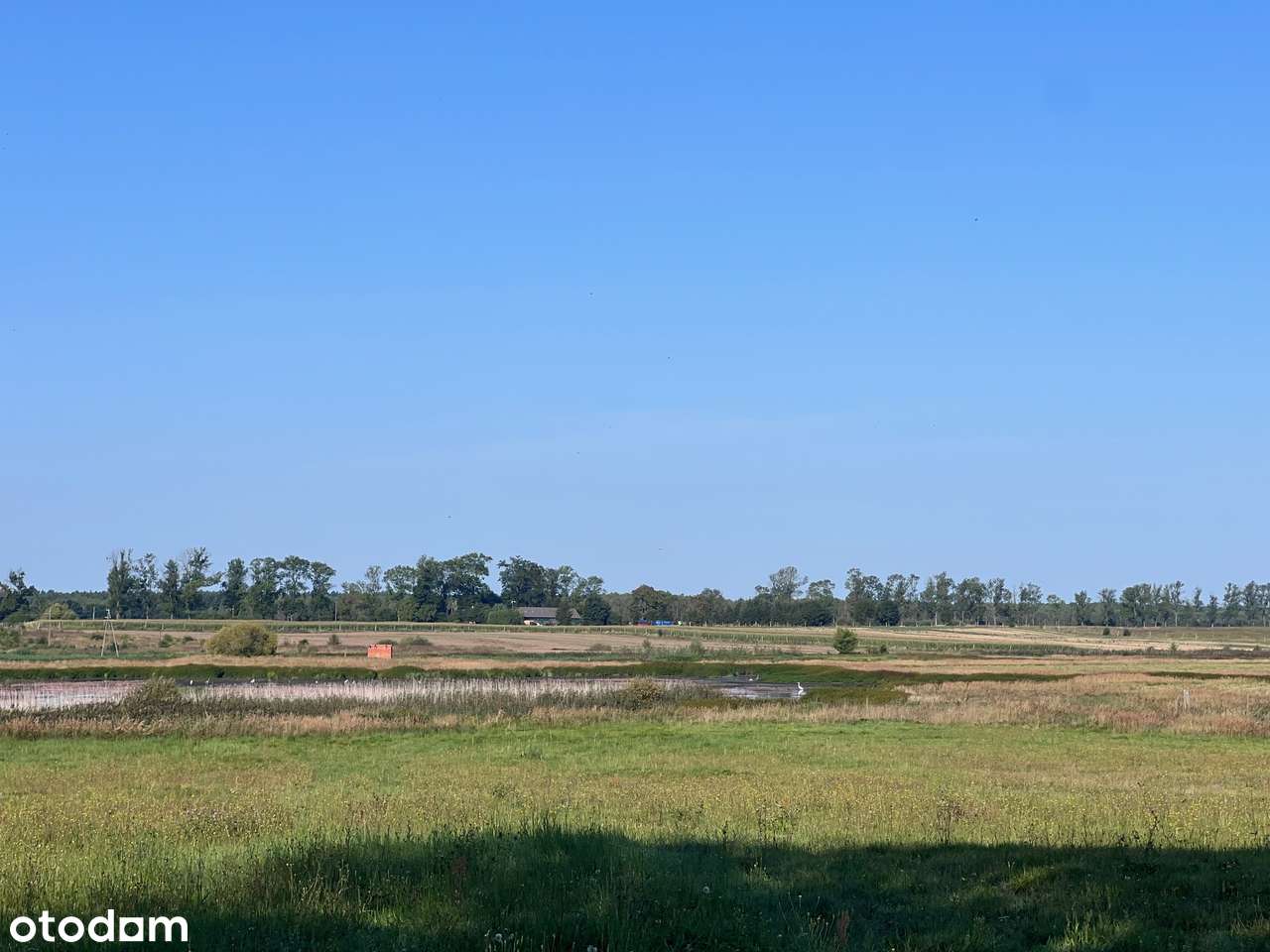 Syndyk sprzeda działkę rolną w miejscowości Barnimie - Pełny obrazek: 4/8