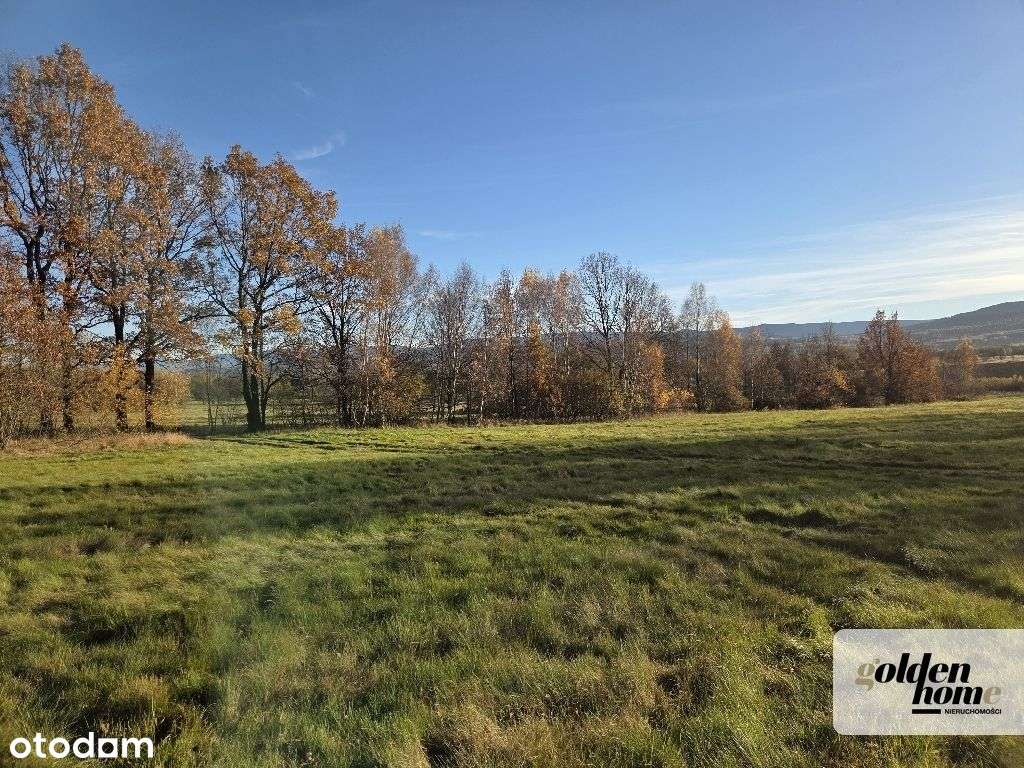 ⭐️60 ar – Grudza, ekspozycja południowa, las, DoWz - Pełny obrazek: 4/14