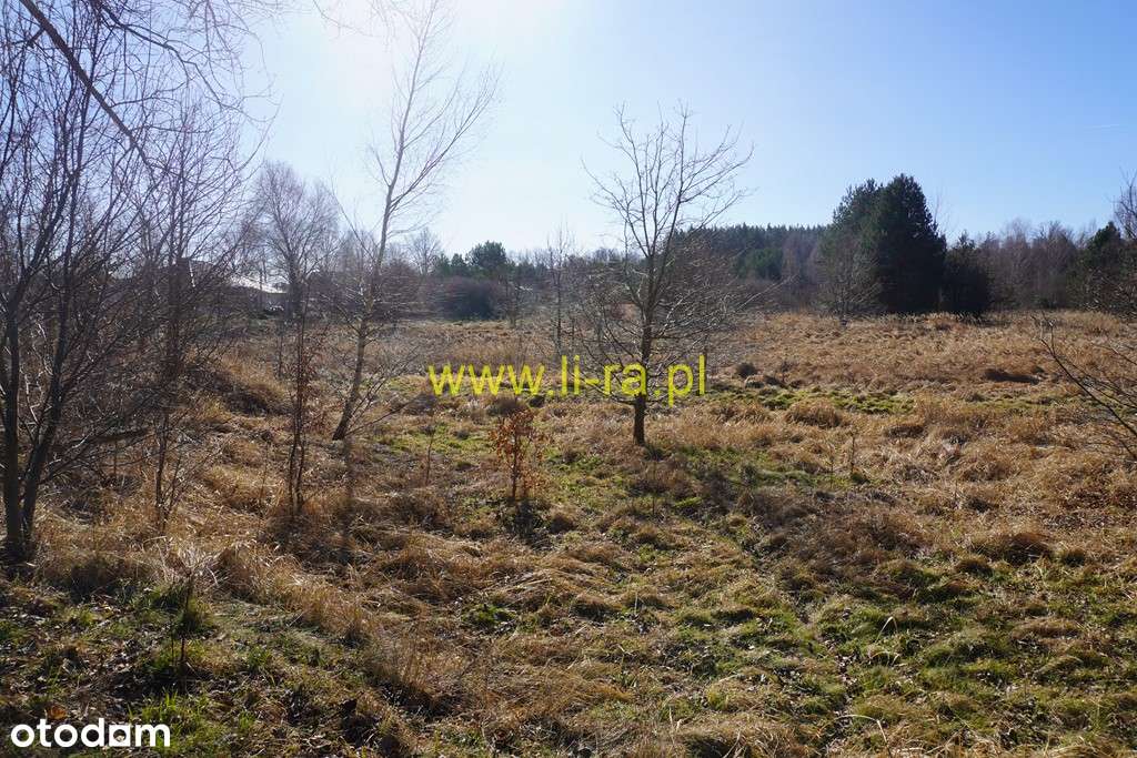 Działka budowlana w Żarach ul. Puławskiego ( Kunice) pow.1561m-2