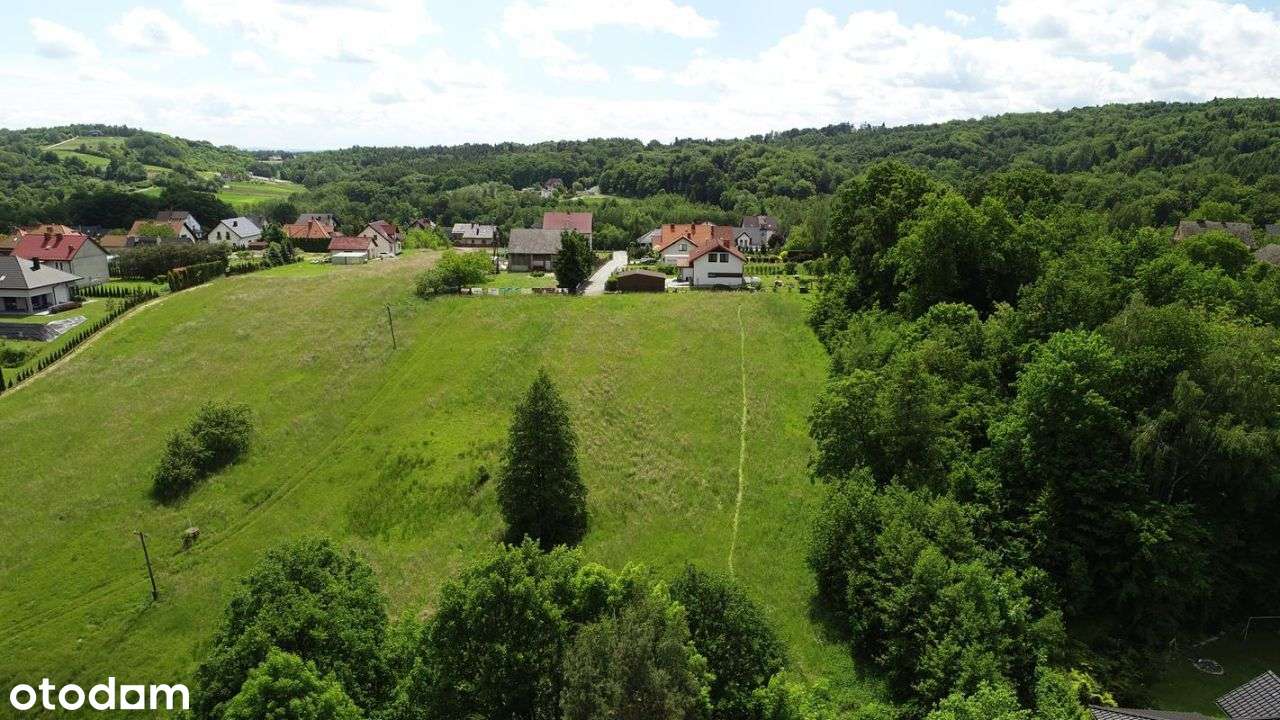 Bochnia - ul. Wiśnicka działka 2,4836ha-7