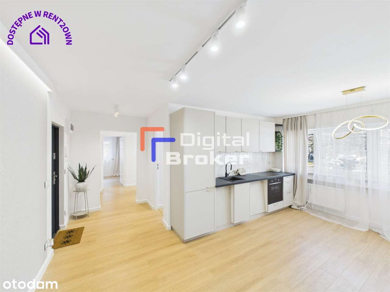 ⭐️Sady Żoliborskie⭐️Gotowe do wprowadzenia⭐️LUX⭐️ - Pełny obrazek: 3/19