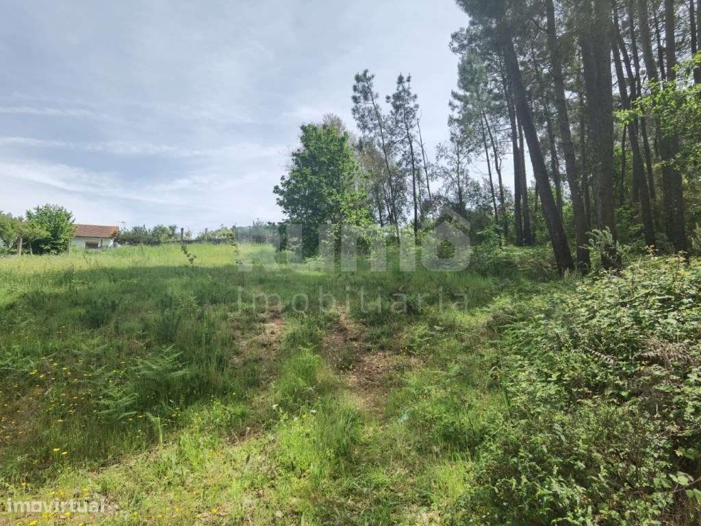 Terreno apto para construção em Valença - Excelente Oportunidade! - Grande imagem: 4/9