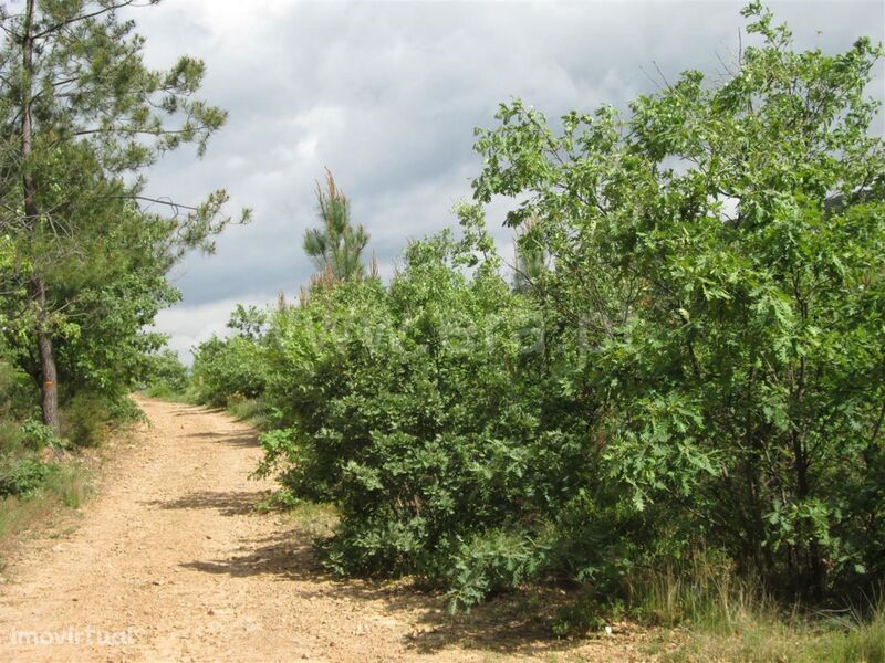 Terreno / Fundão, Alcaide