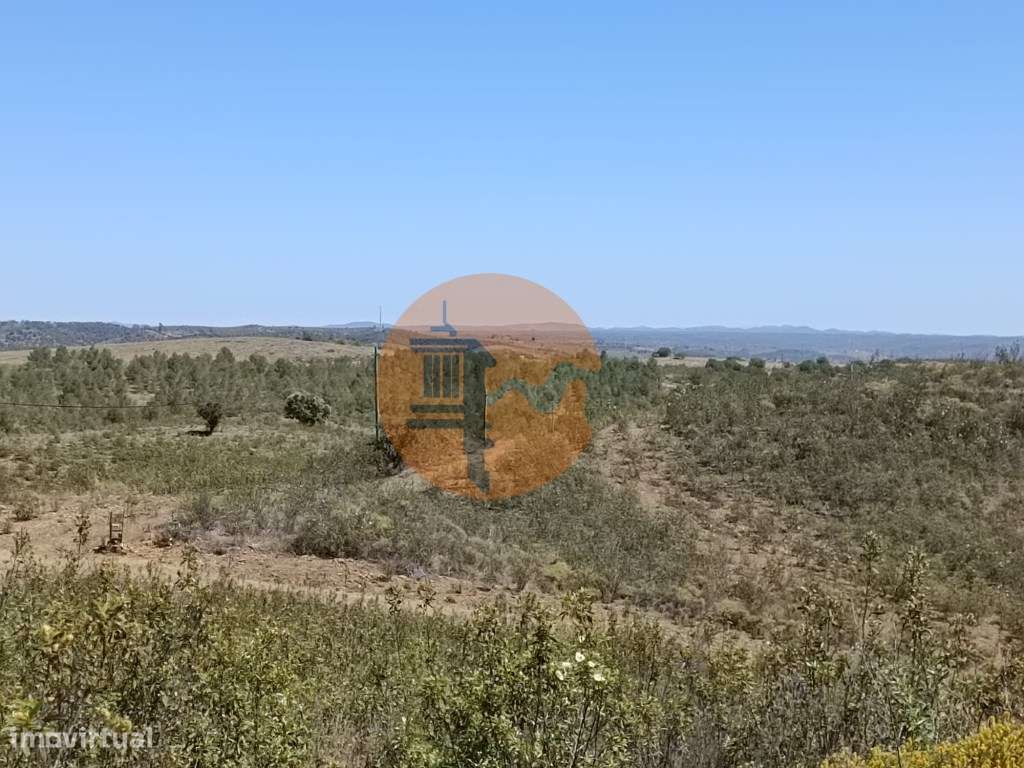 TERRENO COM 34.700 M2 - POSSIBILIDADES DE CONSTRUIR UM ARMAZEM - PR...-15