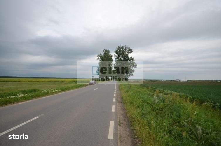 Dascalu - Teren 7ha, Deschidere 130 Ml La Dj 200, Utilitati Investitie - Imagine principală: 5/6