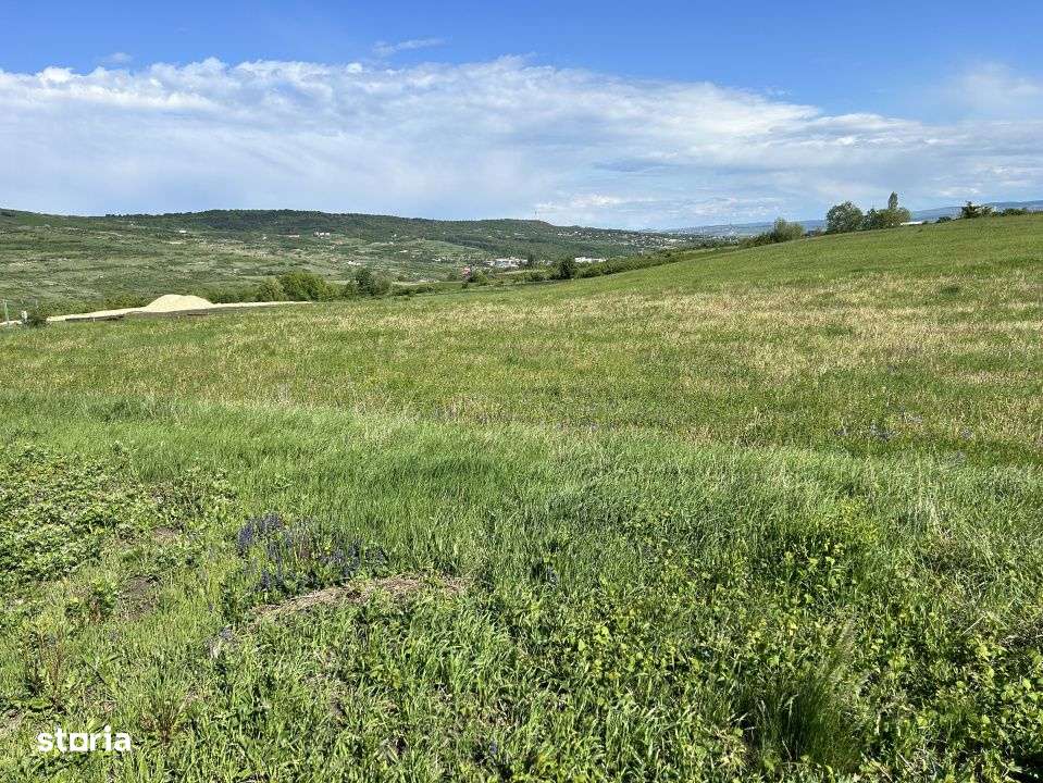 Teren Valea Chintaului / Cluj 5.547mp  parcelabil - Imagine principală: 3/7