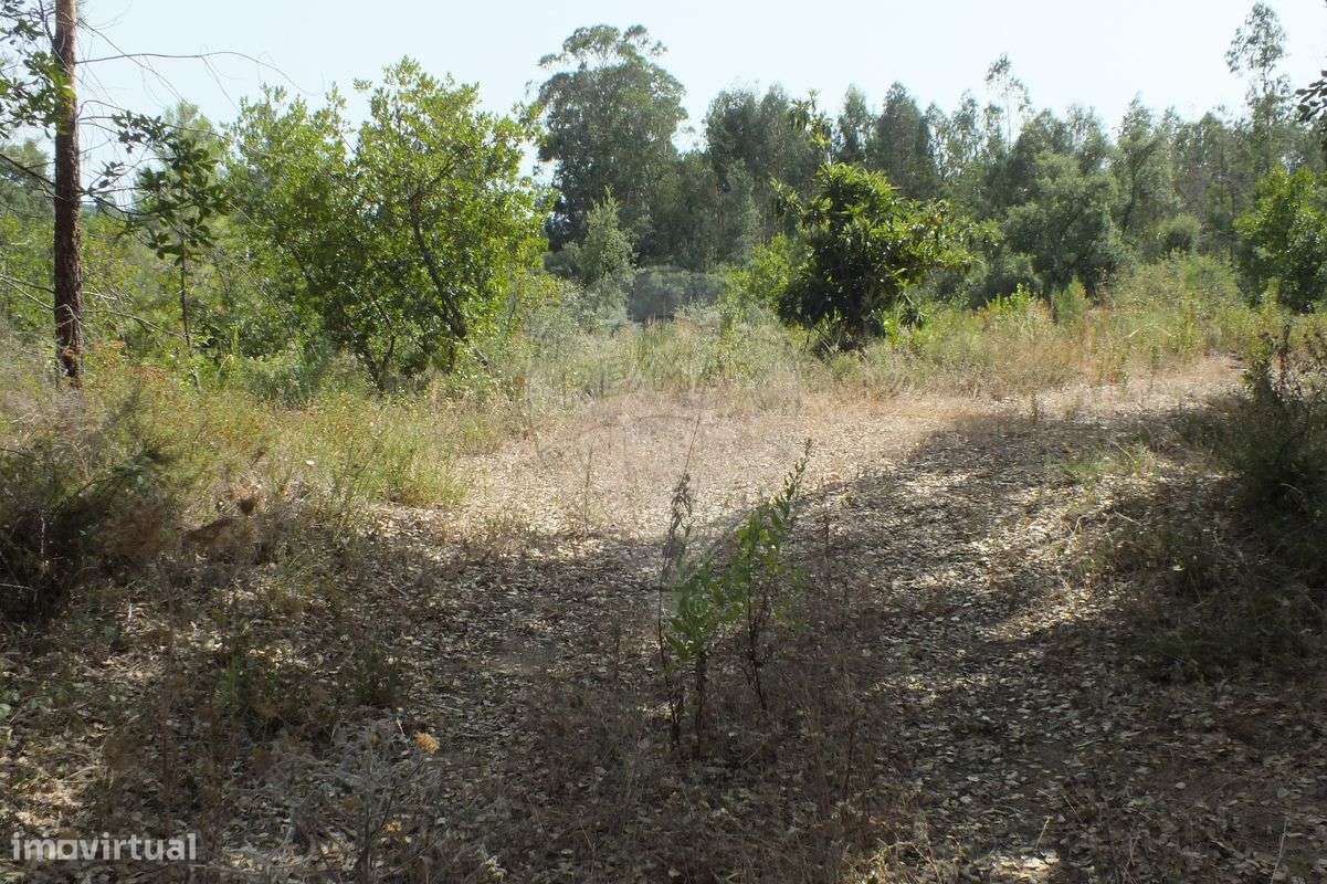Terreno  para venda - Grande imagem: 5/17