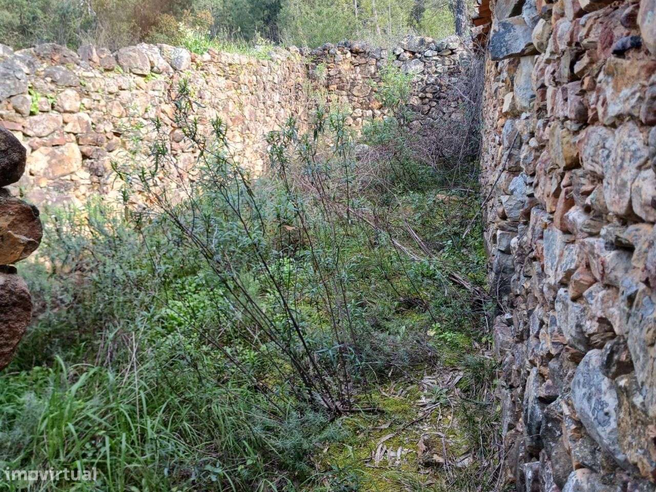 Quinta - Grande imagem: 5/13