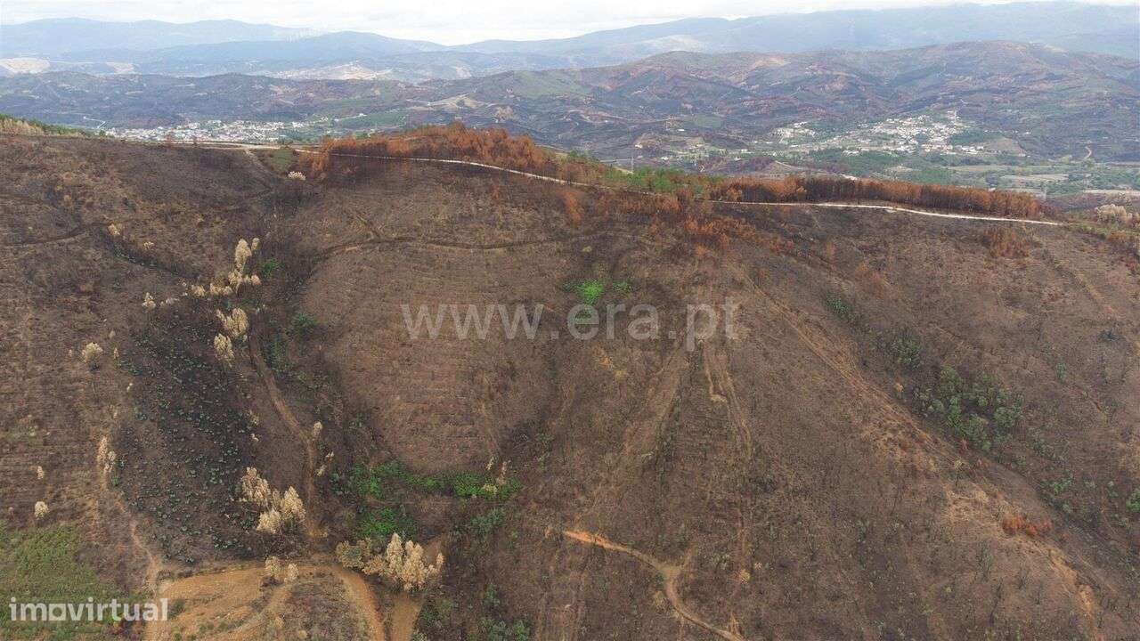 Terreno / Fundão, Telhado - Grande imagem: 5/12
