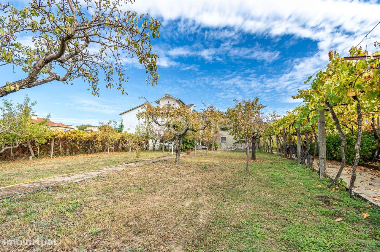 Duas moradias em quinta com produção de vinha em Roussas, Melgaço - Grande imagem: 2/60