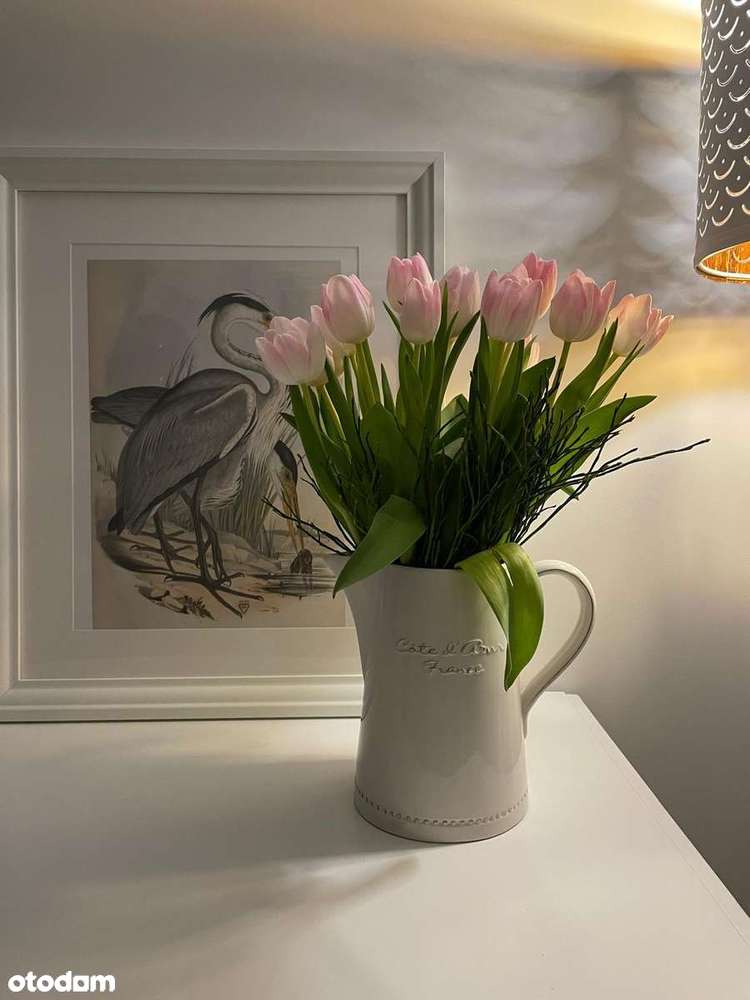 Wyposażony apartament  z widokiem na jezioro Charzykowskie. - Pełny obrazek: 4/19