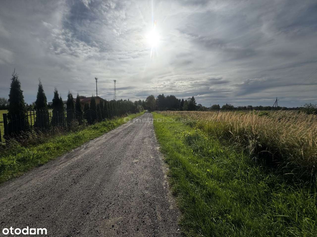 Działka na sprzedaż, Czernin - Pełny obrazek: 5/8