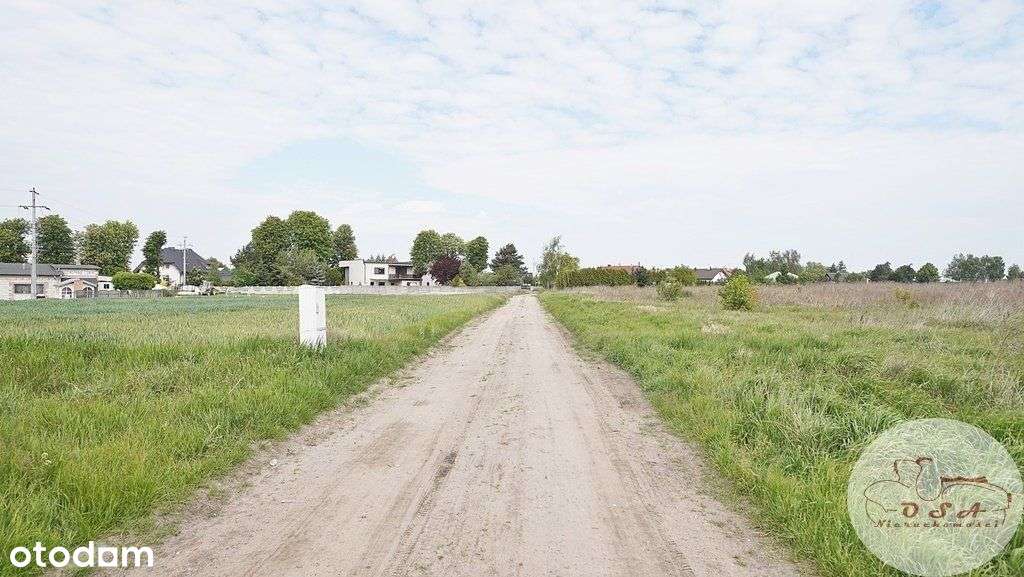 Działka z Mpzp 0,8 ha Dębienko k. Stęszewa-11