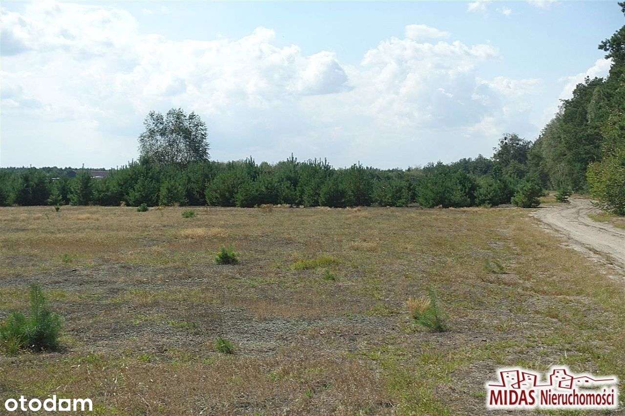Działka 1518m2,okolice Włocławka tylko teraz 60000 - Pełny obrazek: 5/10