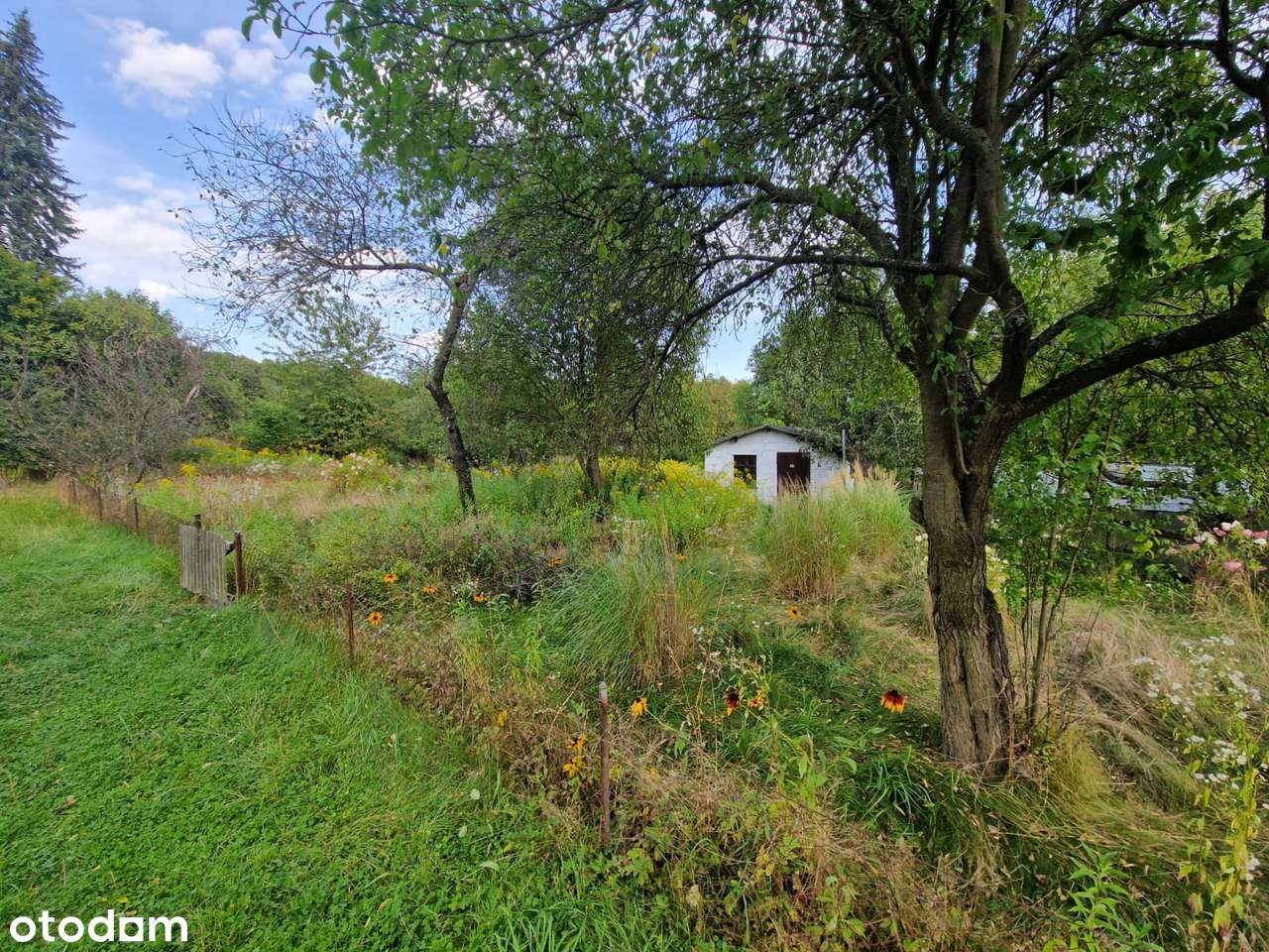 OKAZJA! Sprzedam działkę ROD – Jelenia Góra - Murowany Domek - Pełny obrazek: 5/7